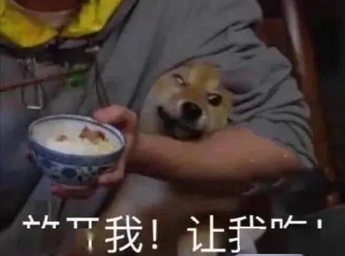 瓜哥带你吃瓜喝酒视频,瓜哥带你畅游吃瓜喝酒视频世界