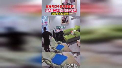 吃瓜吵架现场视频,一场网络视频引发的口水战