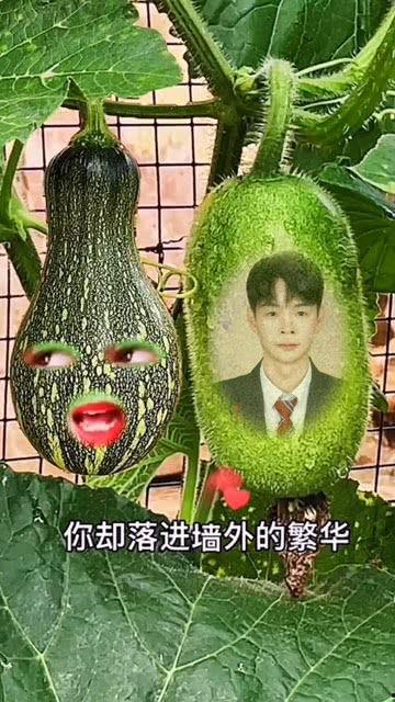 吃瓜小兔特效视频大全集,趣味横生，笑料百出