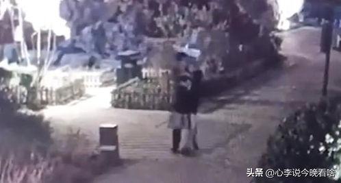 兰州街头吃瓜事件视频在线,一场引发热议的网络围观