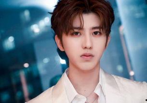 吃瓜狗仔蔡徐坤视频下载,下载背后的故事与真相