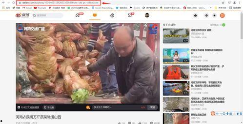 资深吃瓜大神视频下载安装,资深吃瓜大神教你轻松下载安装视频教程