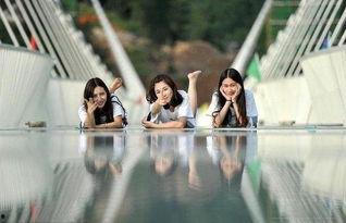 张家界吃瓜婚礼视频完整版,一场别开生面的乡村盛宴