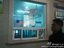 温岭医院吃瓜事件视频播放,视频曝光引发社会关注