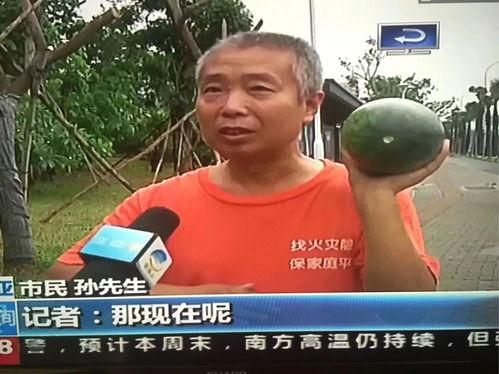 市场吃瓜热门事件视频,盘点近期市场热议事件视频盘点