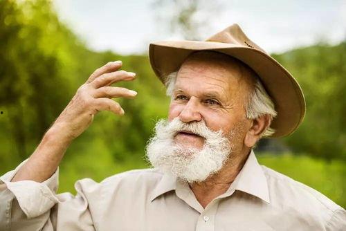 老年人吃暖心瓜视频,老年人共享暖心瓜，传递人间真情
