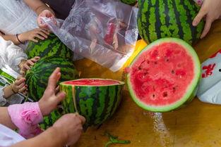 扬州 吃瓜视频,揭秘当地美食文化新潮流